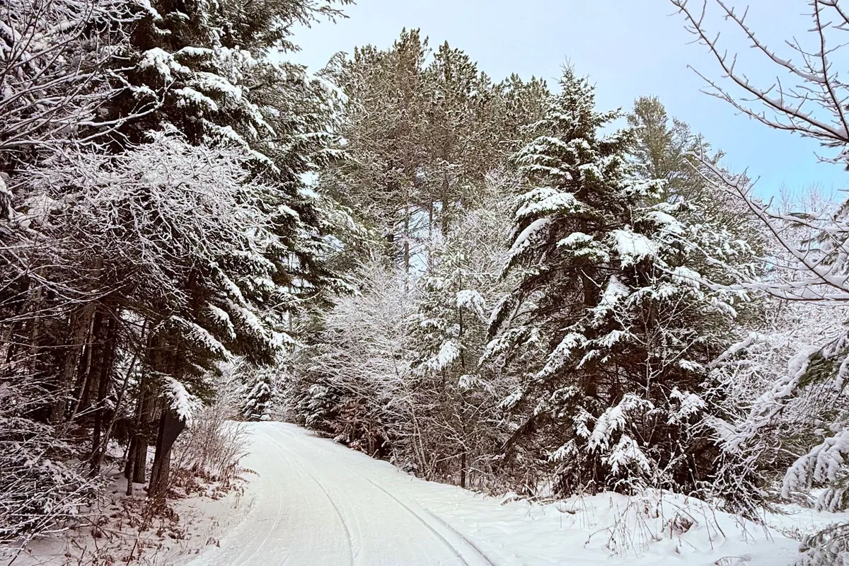 Snow-covered back road curving uphill through pine trees in northern Vermont